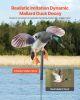 Spinning Wing Motion Duck Decoy Outdoor Realistic Teal Decoys for Hunting 1-Pack
