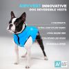 Lightweight Reversible Winter Dog Coat M Size Black Blue Warm Dog Jacket Water Resistant Windproof Dog Jacket for Medium Dogs Comfortable Dog Vest
